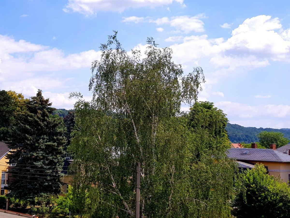 Ferienwohnung Elbhangblick - Fur 2 Personen ドレスデン エクステリア 写真